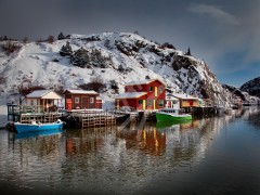Quidi Vidi winter